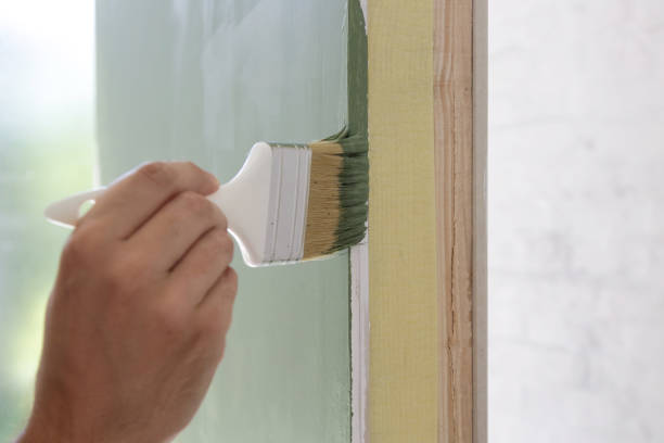 Best Black Mold Removal  in Lamar, MO