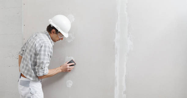 Best Asbestos and Lead Testing During Mold Inspection  in Lamar, MO