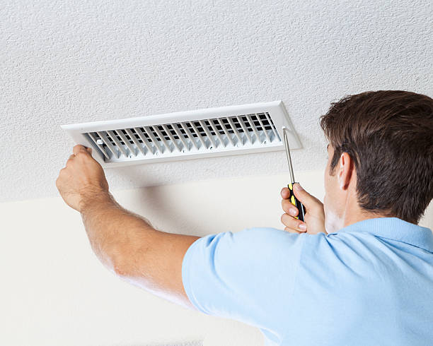 Best Mold Documentation for Insurance Claims  in Lamar, MO