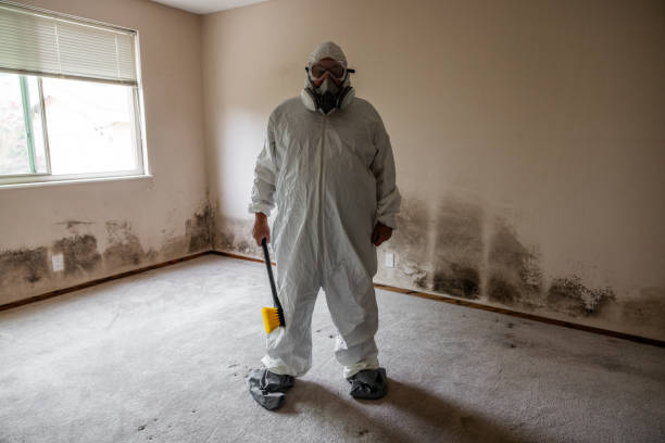 Best HVAC Mold Inspection and Cleaning  in Lamar, MO