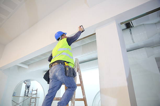 Best Post-Construction Mold Inspection  in Lamar, MO