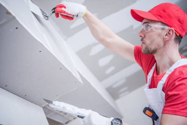 Best Industrial Mold Remediation  in Lamar, MO